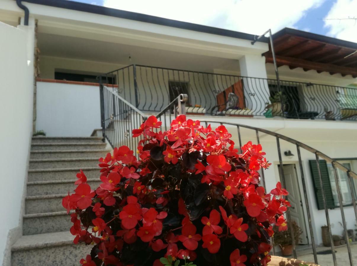 Il Giardino Apartment Lotzorai Bagian luar foto