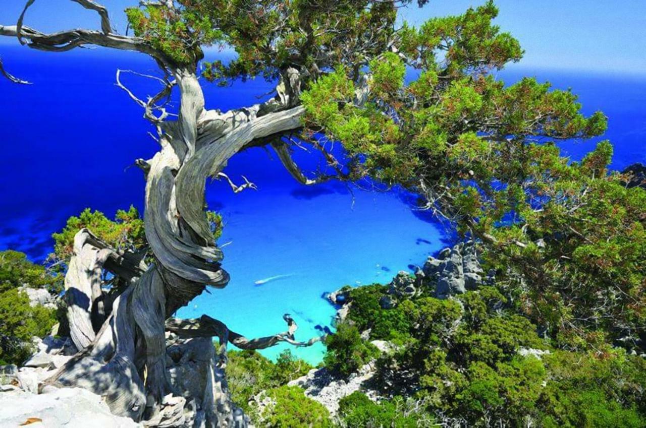 Il Giardino Apartment Lotzorai Bagian luar foto